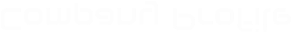 Company Profile